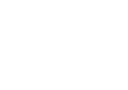 Vision Development